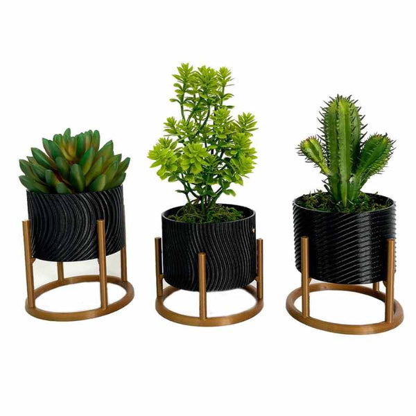 Trio de Vasos com Suporte Para Cactos ou Suculentas